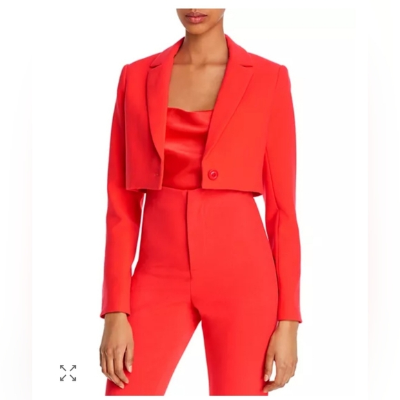 Alice + Oliva Lorinda Slim-Fit High-Waist Cropped Pant Size 4 - Picture 5 of 13